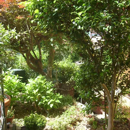 House Yanina דירה